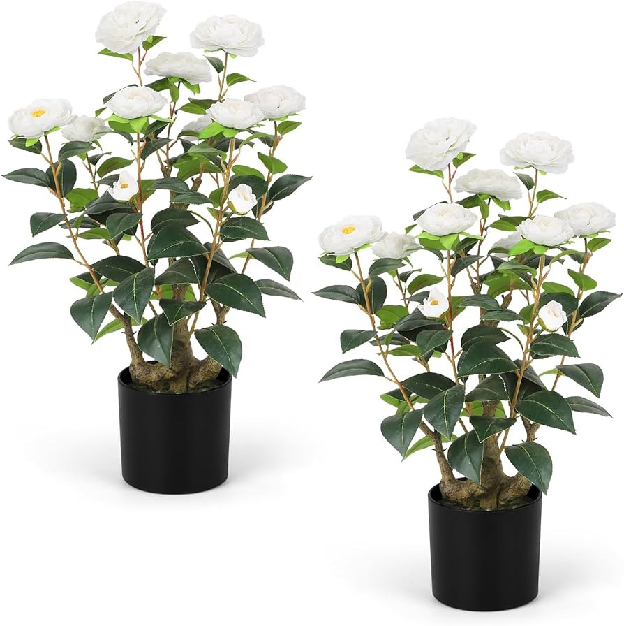 Romantic Season 2FT White Artificial Camellia Tree 2Pack, Faux Camellia Plant Fake Potted Camelli... | Amazon (US)
