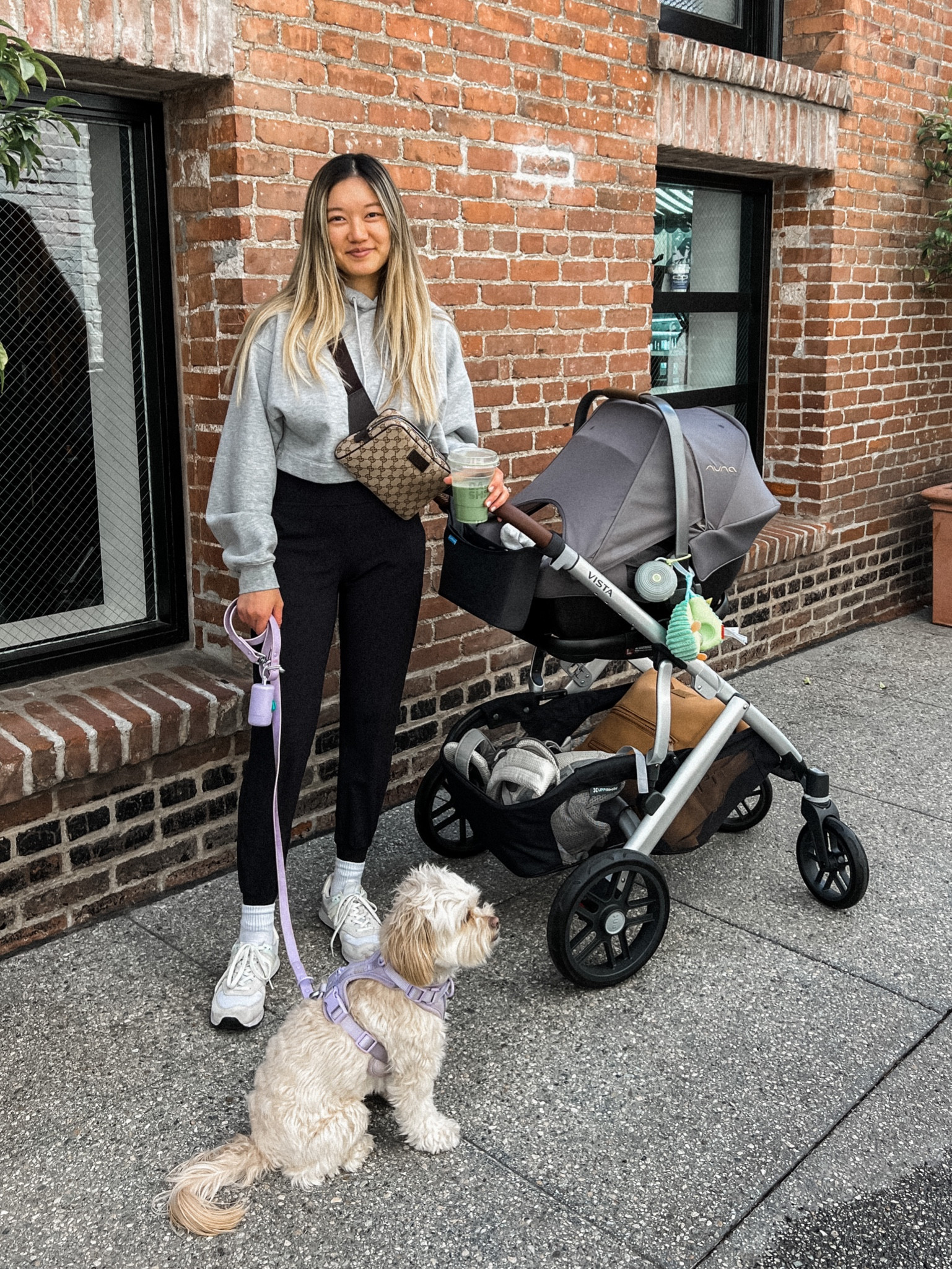 cozy comfy fit - on a stroller walk with my baby and dog! #momfits #newbornmom 

#LTKbaby #LTKfit #LTKGiftGuide
