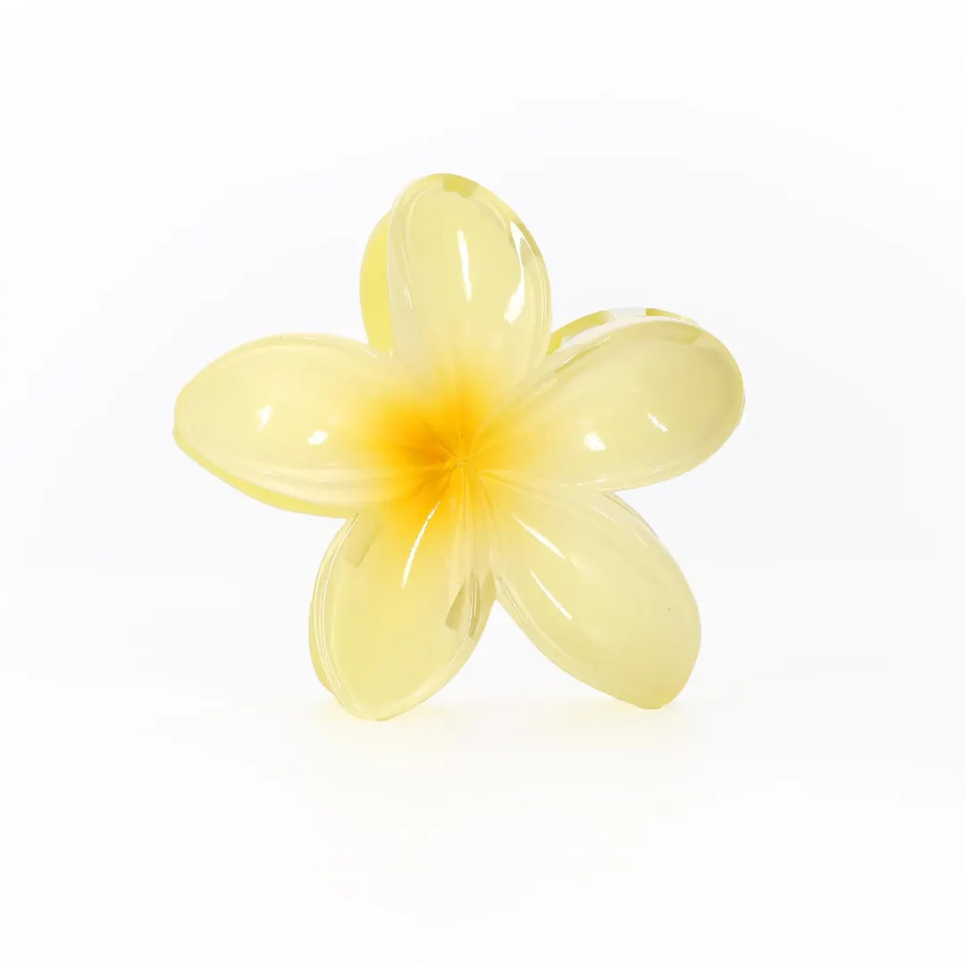 Stylish Hair Clips—New | Etsy (US)