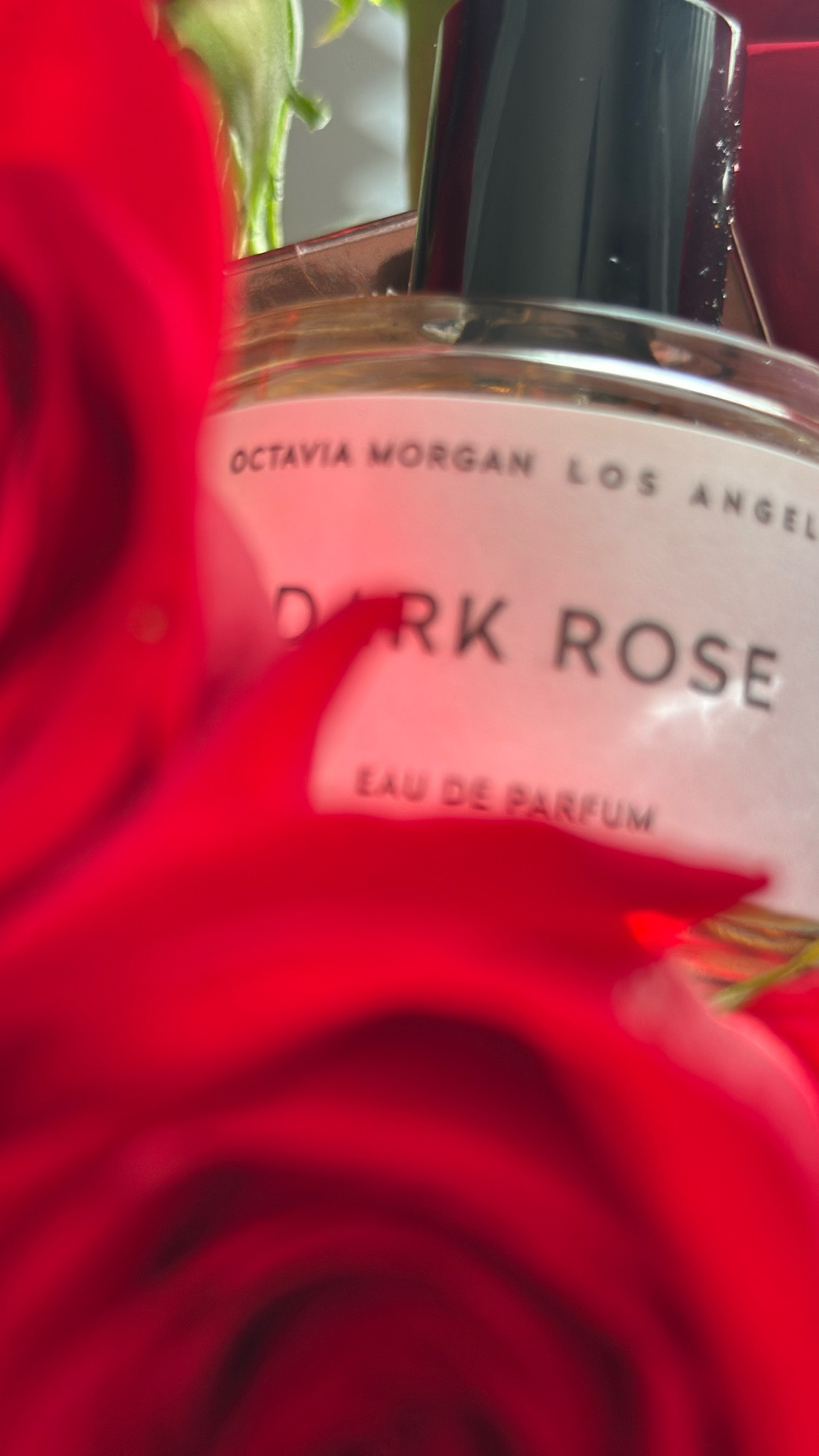 ✨ And just like that… 39 days, 39 fragrances. ✨

This countdown has been such a fun and meaningful way to celebrate another trip around the sun 🌸 From nostalgic scents to new discoveries, each fragrance told a little piece of my story — memories, moods, and moments that make me me. 💕

Thank you all for following along, showing love, and sharing your scent favorites with me throughout this journey! Here’s to another year of growth, grace, and smelling amazing every step of the way. 🥂🌹

#FragranceLover #FragranceJourney #PerfumeCollection #FragranceCommunity #PerfumeTok #BirthdayCountdown #FragranceDiaries #SoftLuxury #GrownWomanEnergy #CheersTo39

#LTKBeauty #LTKGiftGuide #LTKHoliday