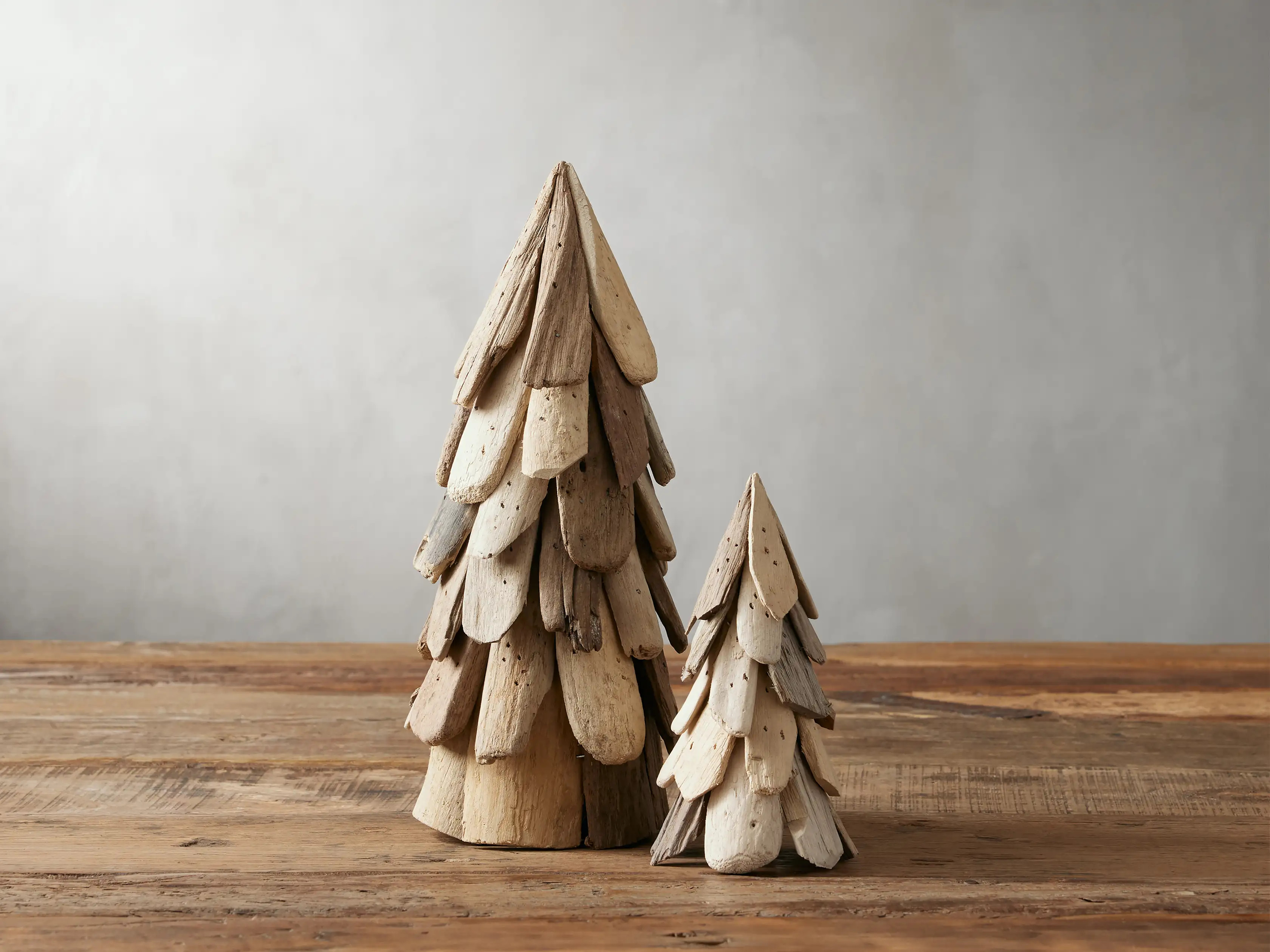 Driftwood Trees (Set of 2) | Arhaus