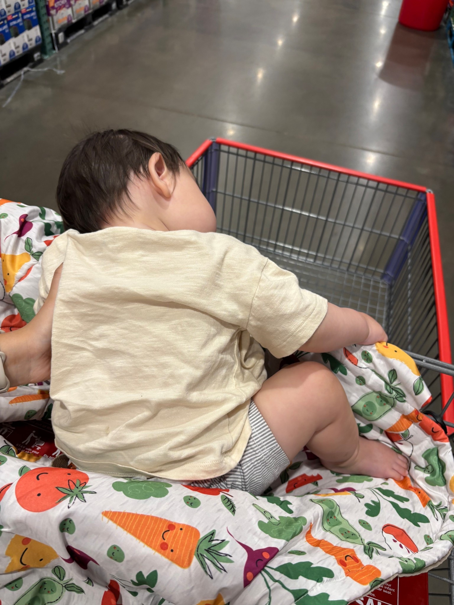 Shopping cart cover 🛒 perfect for all cart sizes! #target #costco #newmom baby

#LTKFamily #LTKBaby #LTKKids