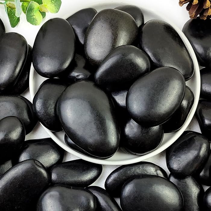 5lbs Black Pebbles for Plants, 2-3 Inch High Polished Natural Large River Rocks for Landscaping, ... | Amazon (US)