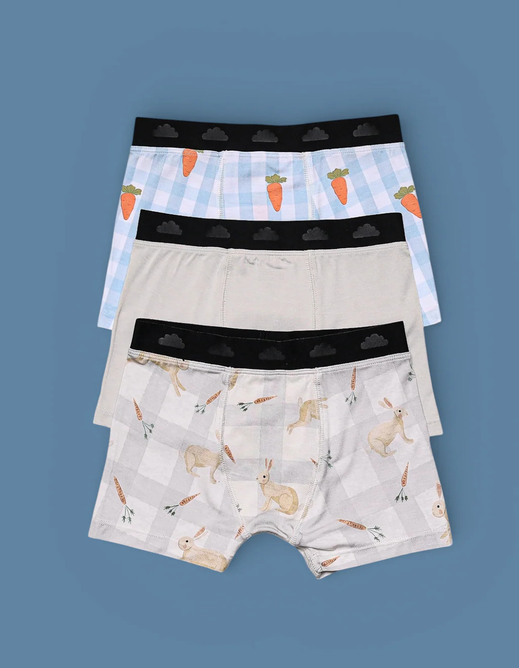 MEADOW HOP DREAM BOY'S BOXER BRIEF SET | Dream Big Little