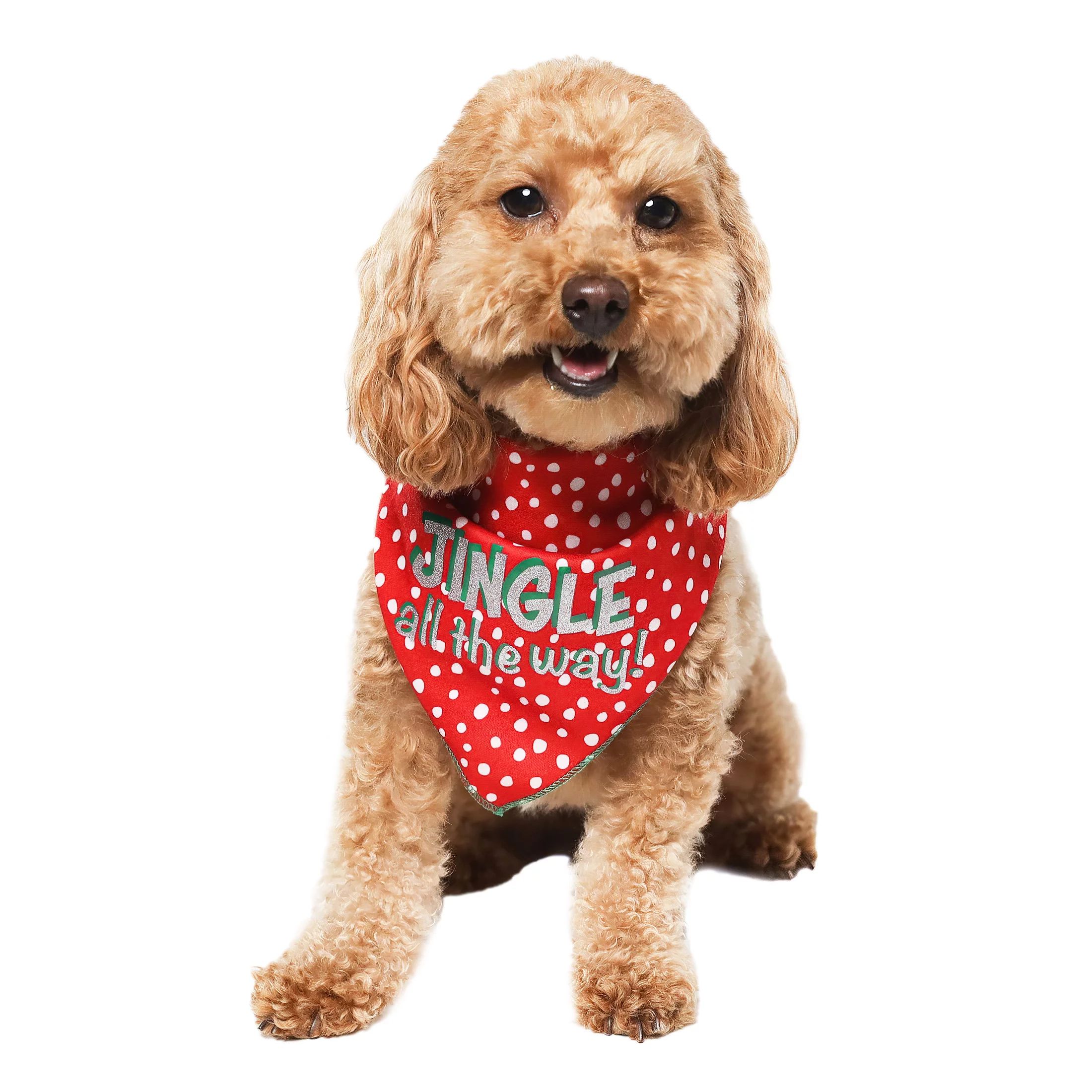 Vibrant Life Dog Clothes: Jingle All the Way Dog Bandana, Size XS-S | Walmart (US)