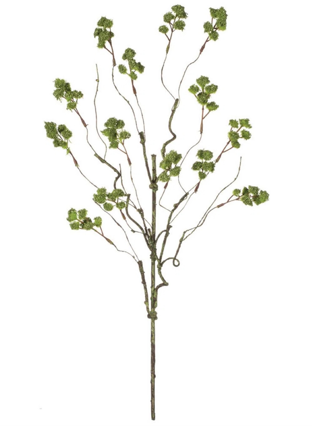 Gracie Oaks Irish Moss Sprays | Wayfair | Wayfair North America