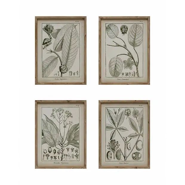Fir Wood Framed Plant Print Set of 4 | Antique Farm House