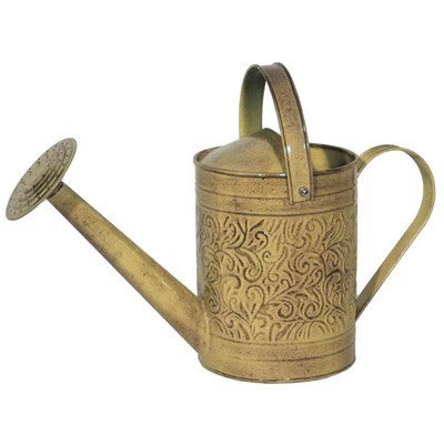 Robert Allen Topaz 1 gal Metal Morgan Watering Can | Target