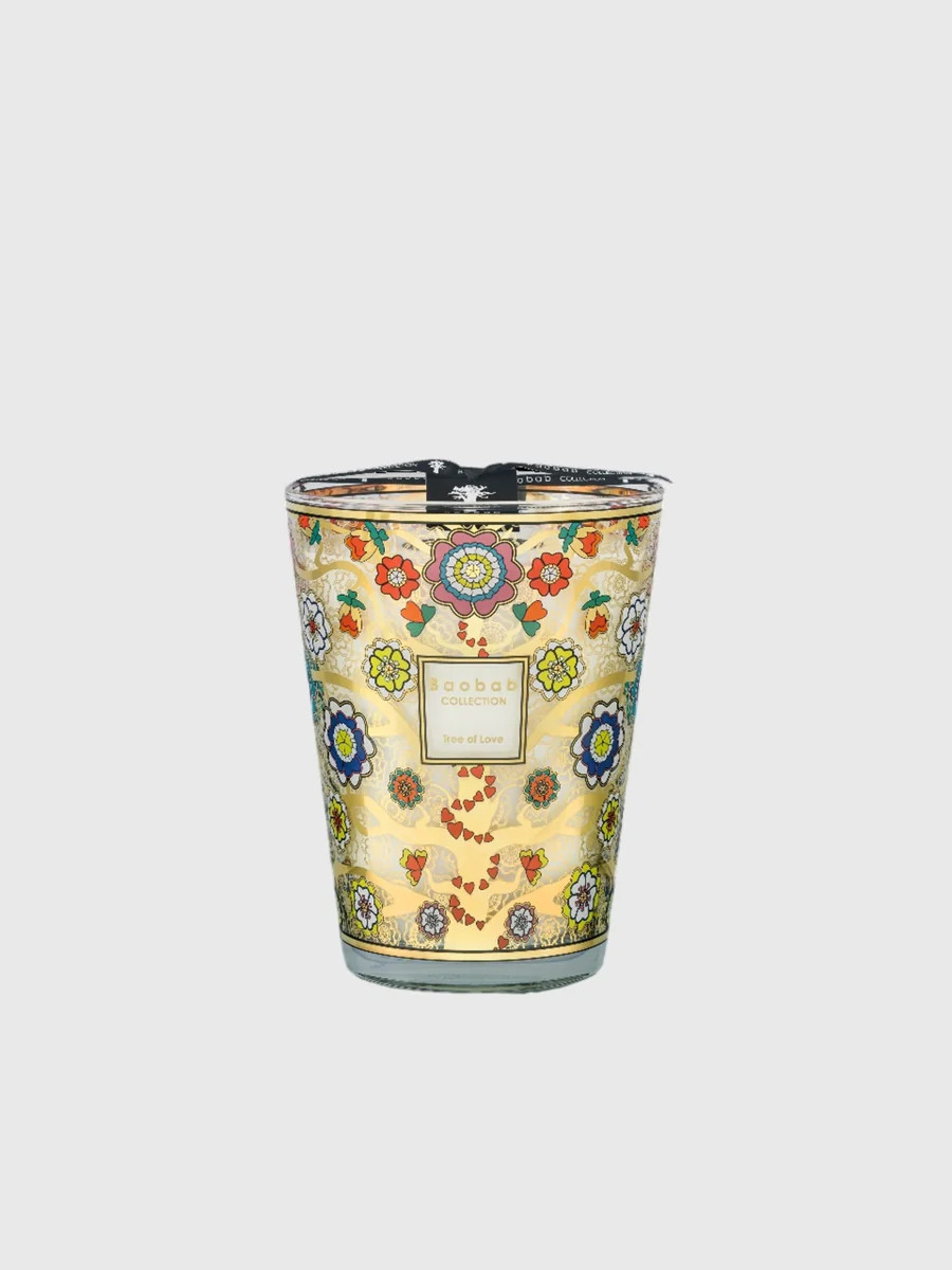 Baobab Collection Max 24 Candle | Saint Bernard