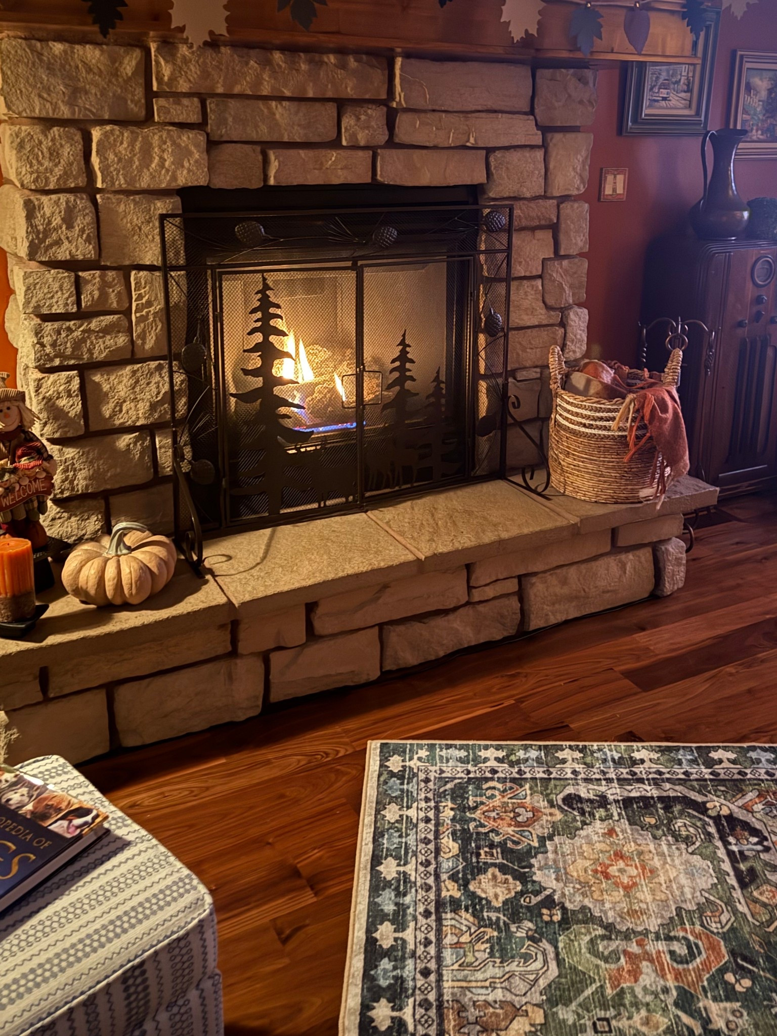 Fall Vibes. My new rug and fireplace screen.

#LTKHome #LTKStyleTip #LTKFindsUnder100