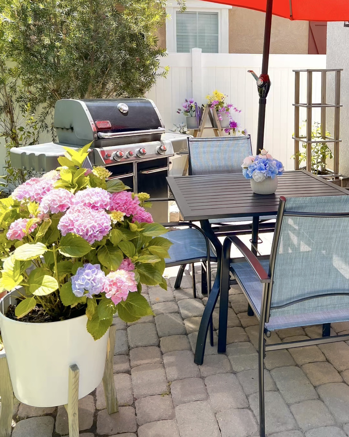 Hola Bebes! Backyard Reset 

Sharing my favorites 


#LTKHome