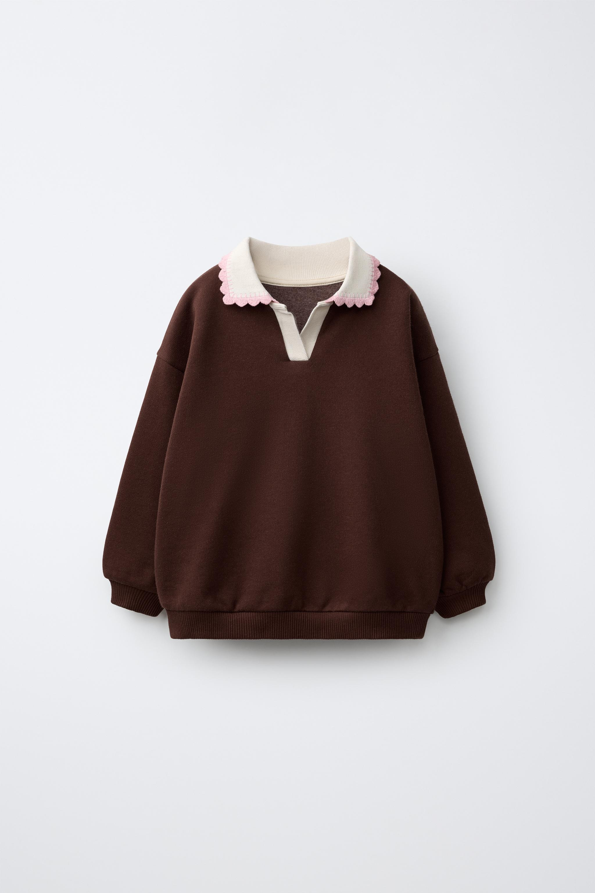 EMBROIDERED POLO SWEATSHIRT | Zara US