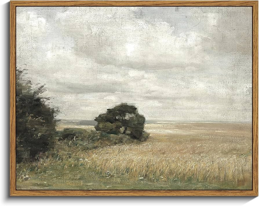 InSimSea Framed Canvas Wall Art Vintage Decor, Landscape Wall Art Prints, Vast Field under Cloudy... | Amazon (US)