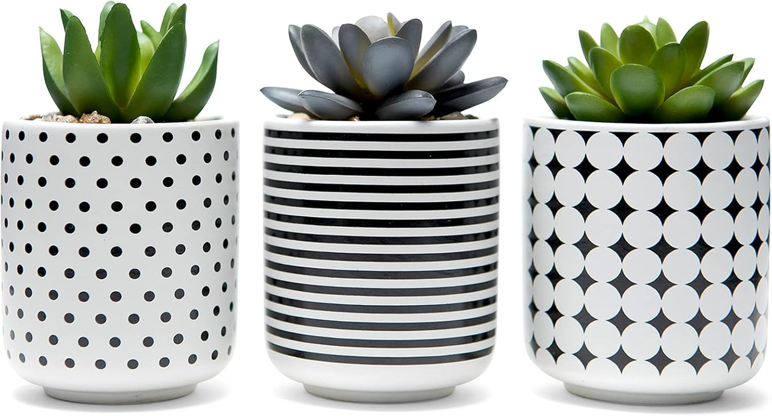 dipiti Artificial Succulent Plants in Pots-Set of 3|Black and White Ceramic Planters|Faux Plants ... | Amazon (US)