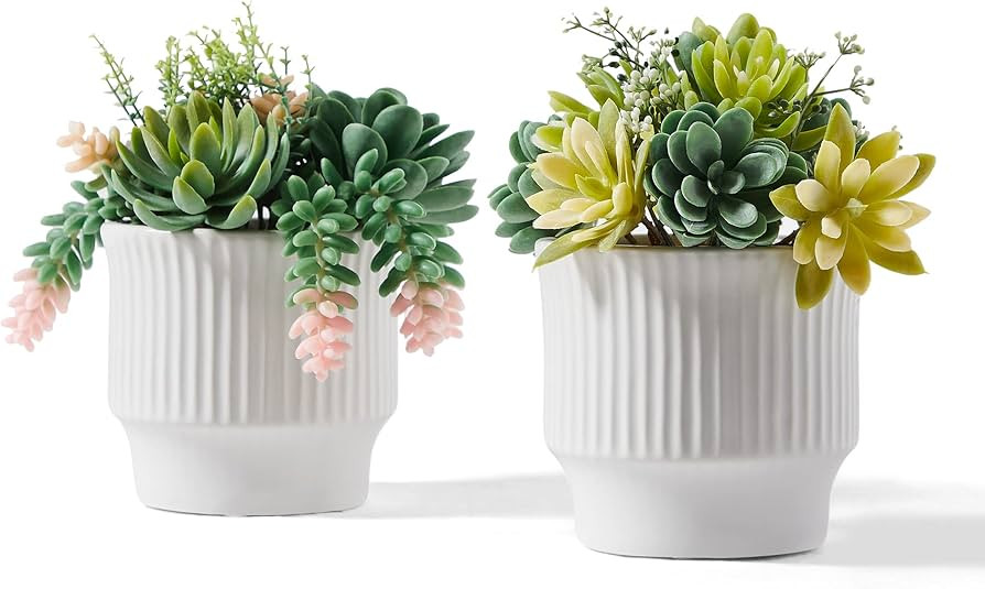 ASTRIDIA Artificial Succulent Plants, Faux Assorted Succulents Fake Plants in White Ceramic Pots ... | Amazon (US)