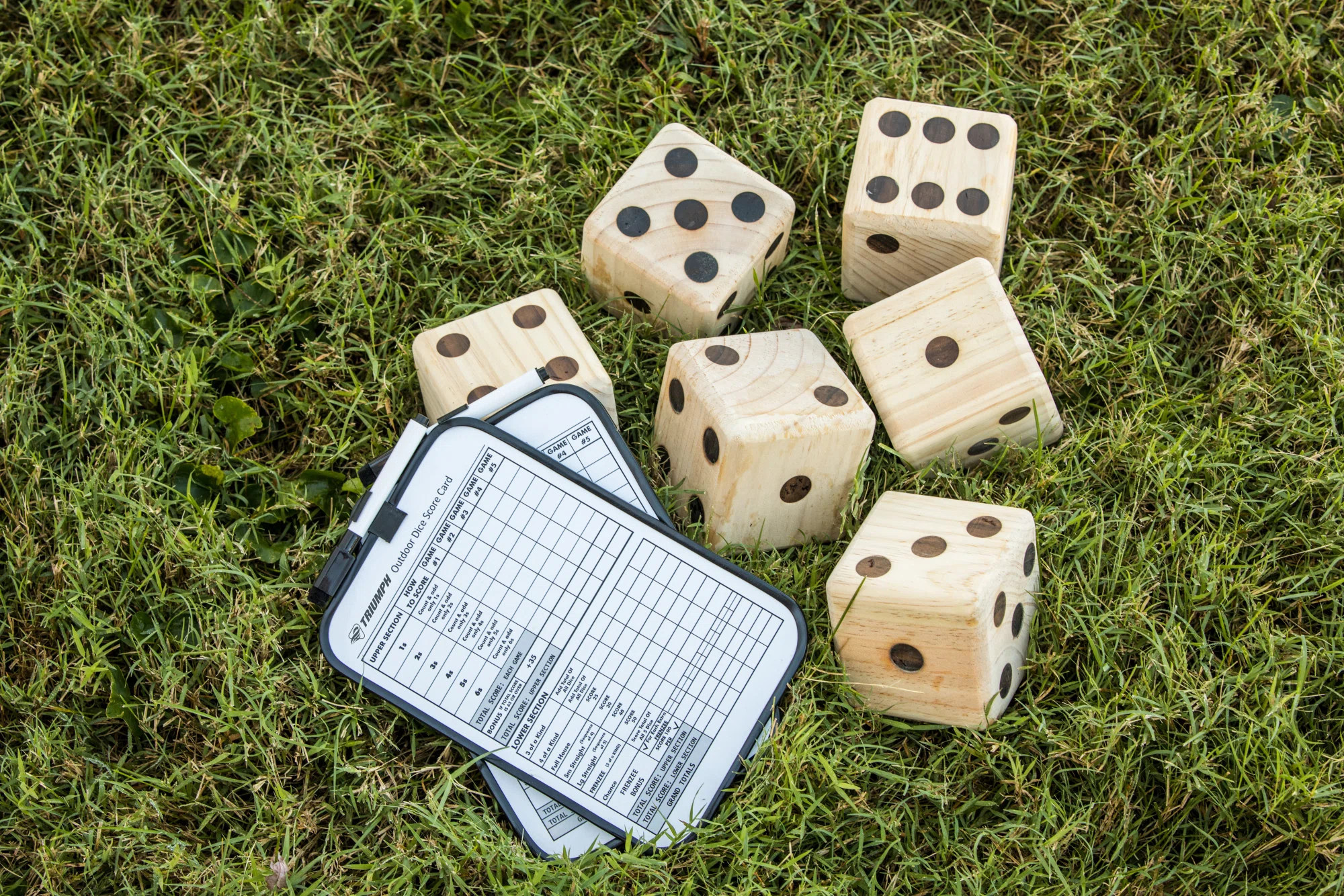 Triumph Sports Big Roller Wooden Lawn Dice Giant Games & Reviews | Wayfair | Wayfair North America