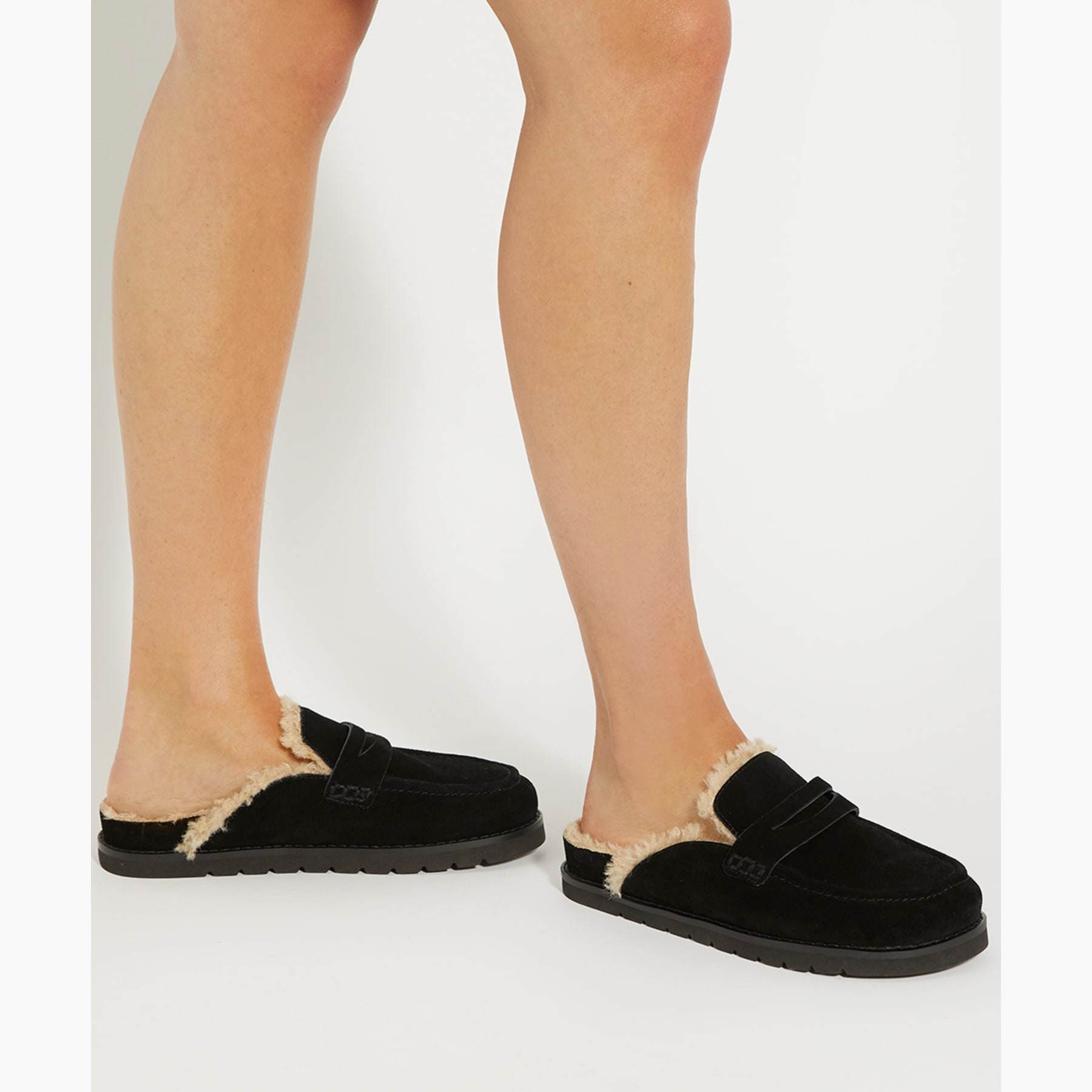 Goldy - Black | Dune (EU)