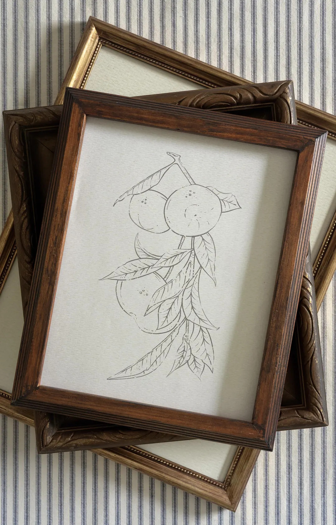 Vintage Botanical Mandarin Print Hand Drawn Sketch, Neutral Wall Art Decor, Antique Inspired Prin... | Etsy (US)