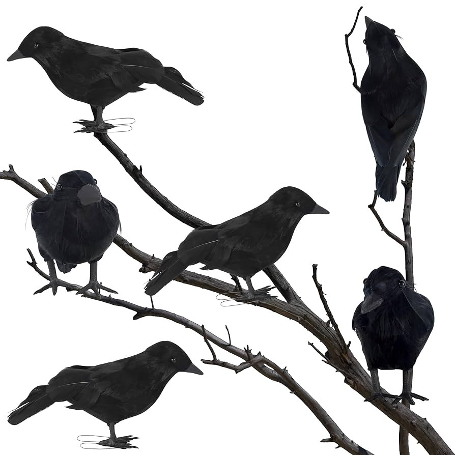 ATDAWN Halloween Birds, Black Feathered Crows, Realistic Looking Halloween Birds Decoration Birds... | Amazon (US)