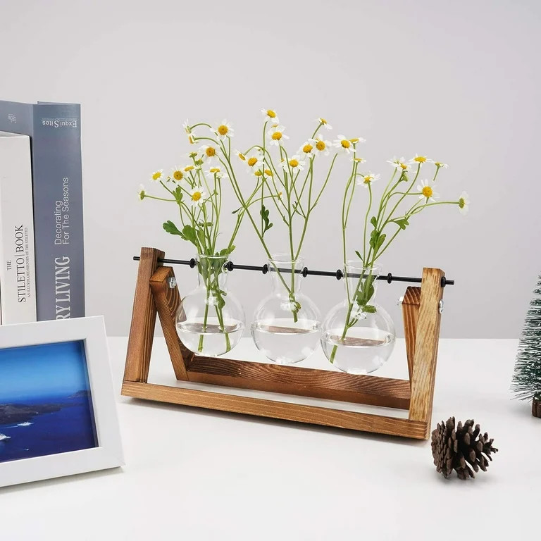 luopital Plant Propagation Station Plant Terrarium with Wooden Stand Air Planter Bulb Glass Vase ... | Walmart (US)