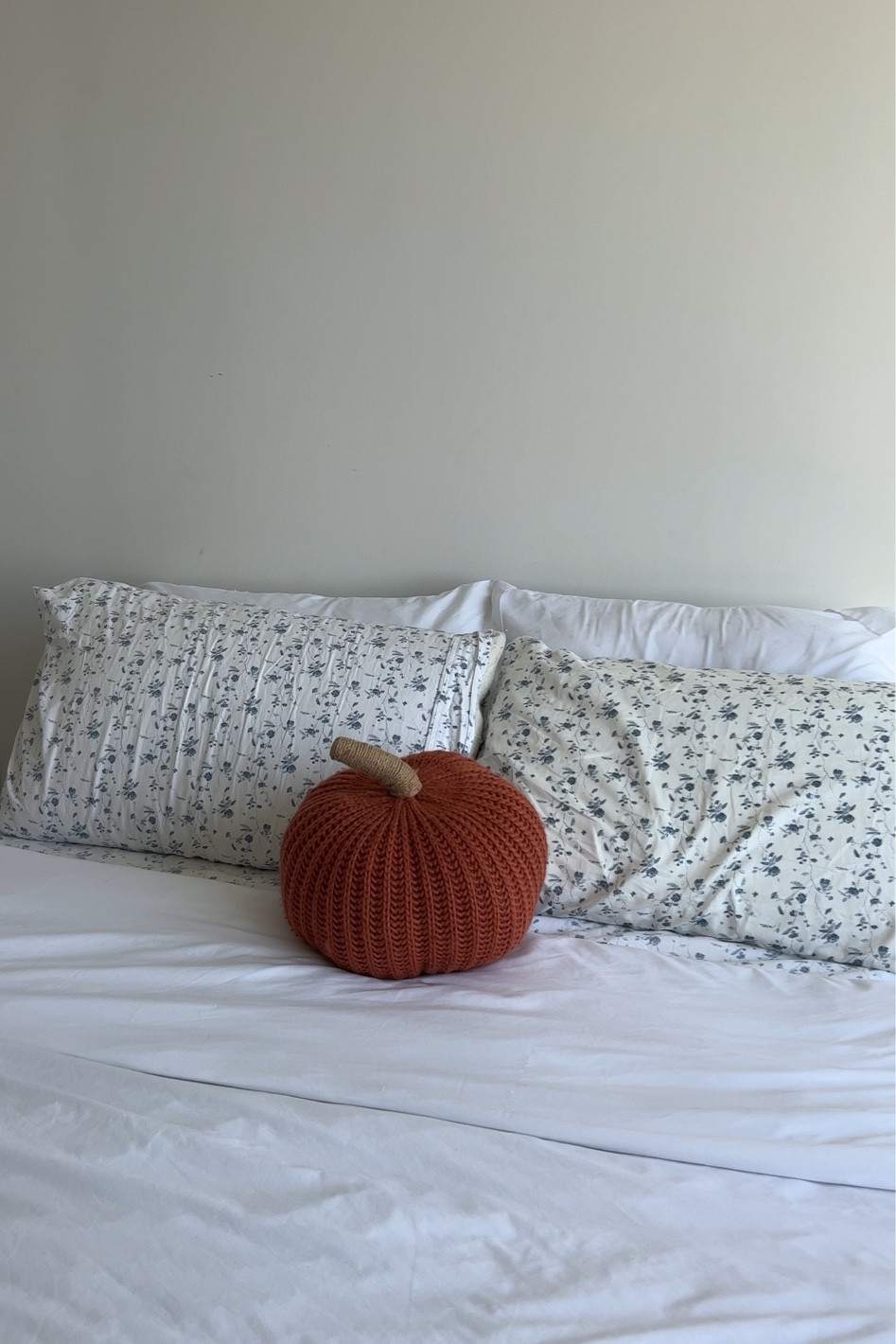 Fall bedroom decor 

Pumpkin pillow, knit pumpkin, fall home, neutral fall home decor 

#LTKSeasonal #LTKhome #LTKunder50