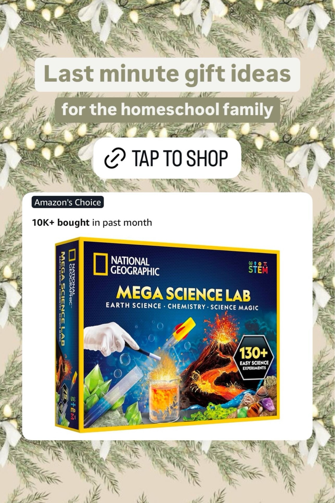 Homeschool family gift ideas 🤍🎄🧪

#LTKFindsUnder100 #LTKKids #LTKGiftGuide