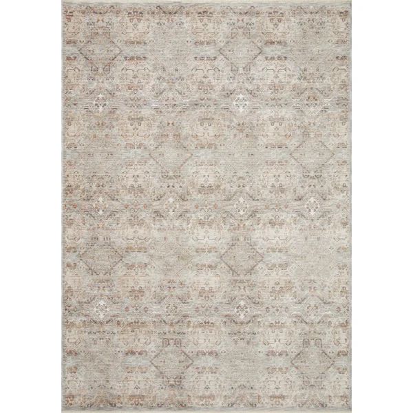 Zuma Area Rug in Silver / Multi | Wayfair North America