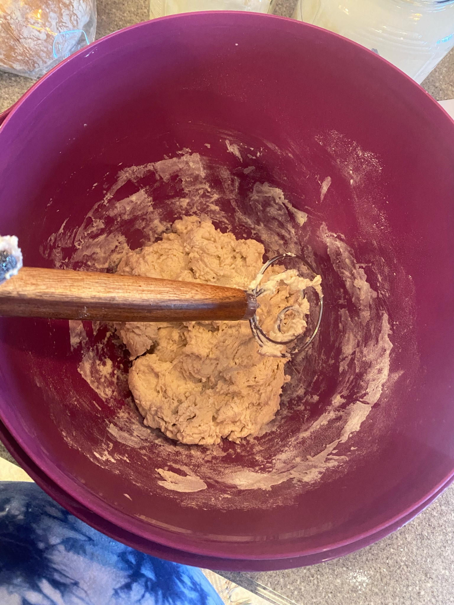 Making Sourdough so easy to maintain and make with this dough mixer :) 

#LTKstyletip #LTKGiftGuide #LTKhome