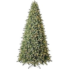 Evergreen Classics 9 ft Pre-Lit Norway Spruce Quick Set Artificial Christmas Tree, Warm White LED... | Amazon (US)