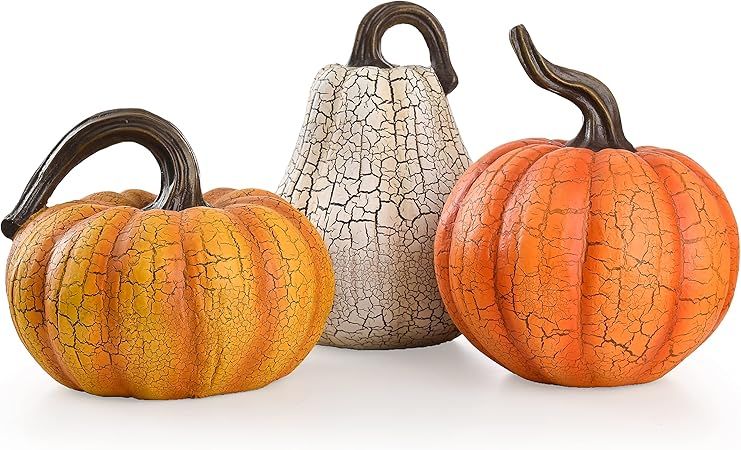 Valery Madelyn Fall Decor Cracked Pumpkin Statues, Set of 3 Resin Pumpkin Figurines for Thanksgiv... | Amazon (US)