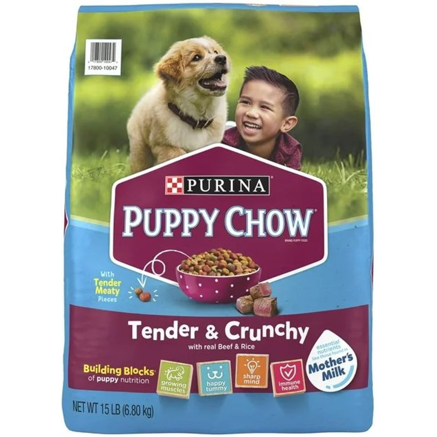 Puppy Chow Tender & Crunchy with Real Beef Dry Dog Food, 15-lb bag | Chewy