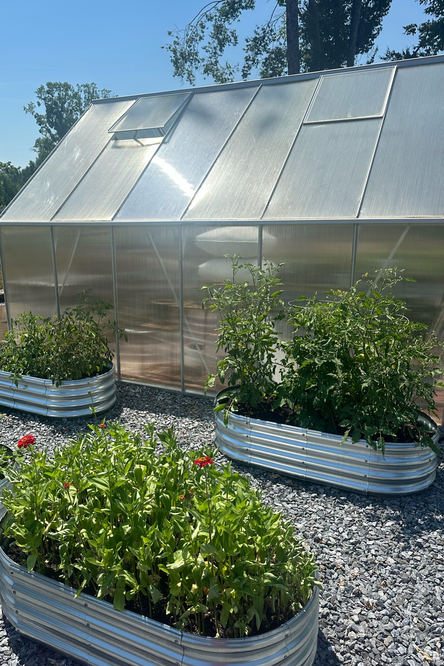 Raised beds, raised garden beds, galvanized metal garden beds 

#LTKSeasonal #LTKHome #LTKFindsUnder100