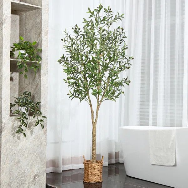 Adcock Faux Olive Tree in Rattan Basket | Wayfair North America