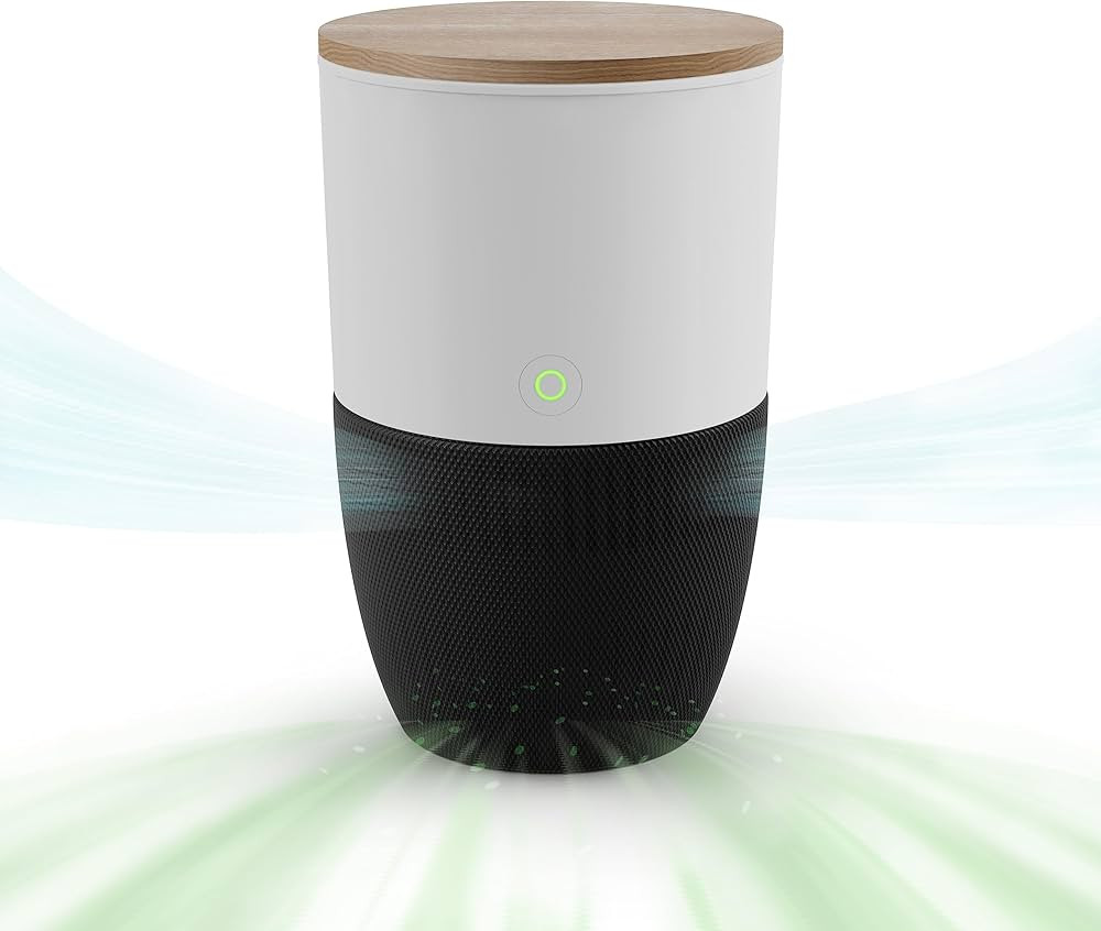 Dupray Bloom™ Air Purifier for Large Rooms with Planter or Custom Accent Table Design | For Hom... | Amazon (US)