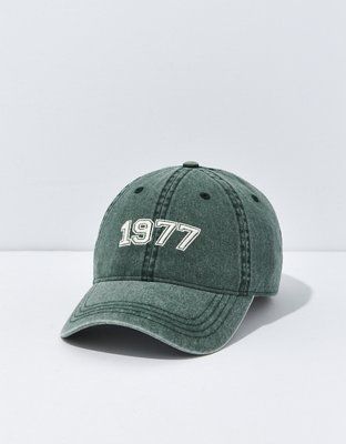AE 1977 Baseball Hat | American Eagle Outfitters (US & CA)
