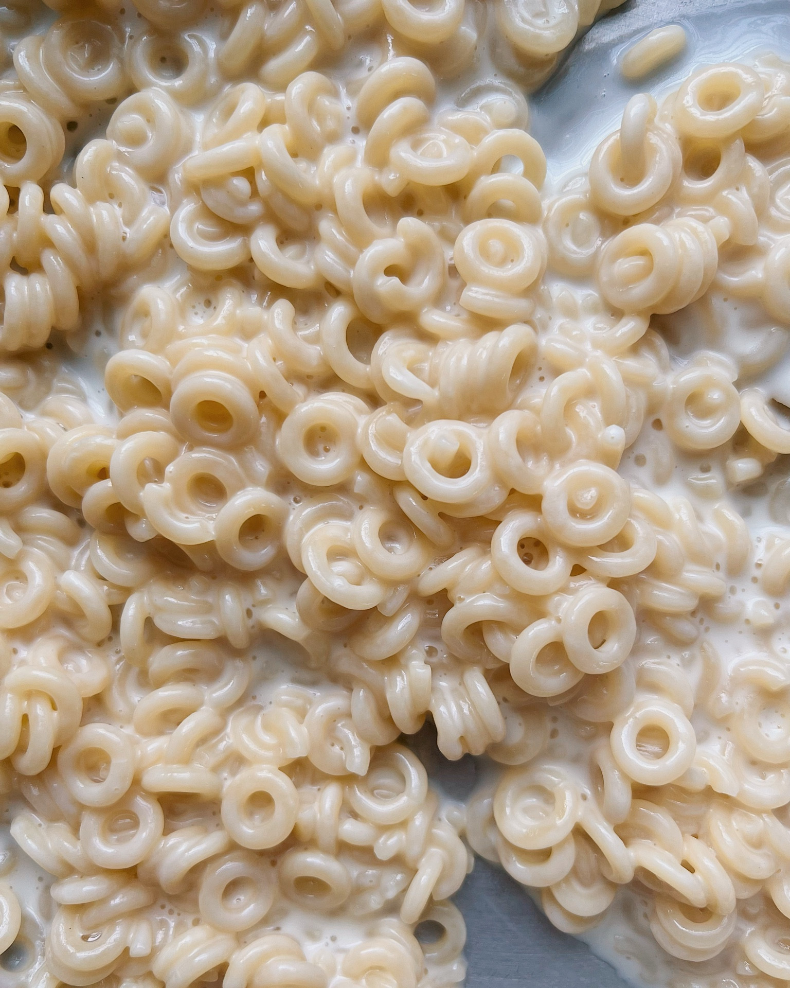 Spaghettio's, aka anelli.