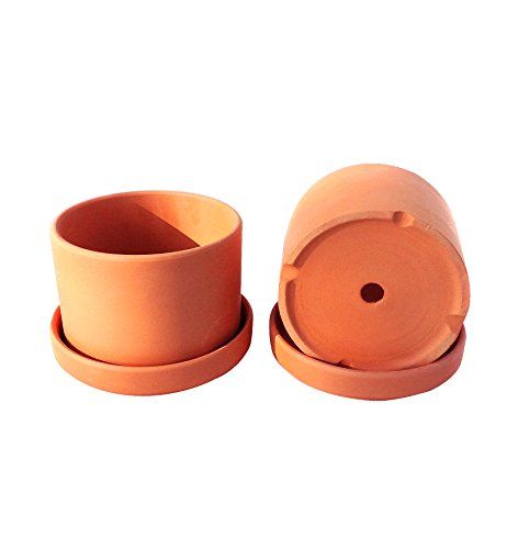 Set of 2 Natural Terra Cotta Round Fat Walled Garden Planters with Individual Trays. Indoor or Outdo | Amazon (US)