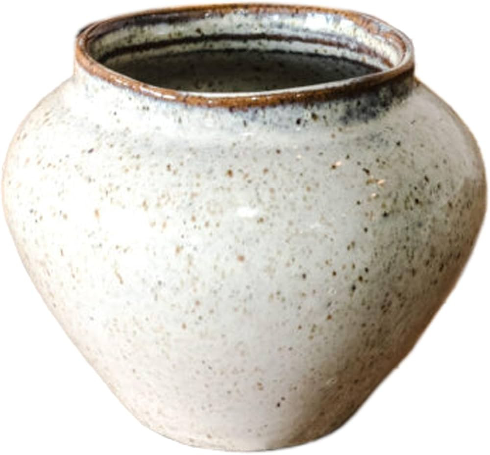 PD Home & Garden Decorative and Functional Décor 4 x 5 Inch Ceramic Jar Flower Pot Vase, White S... | Amazon (US)