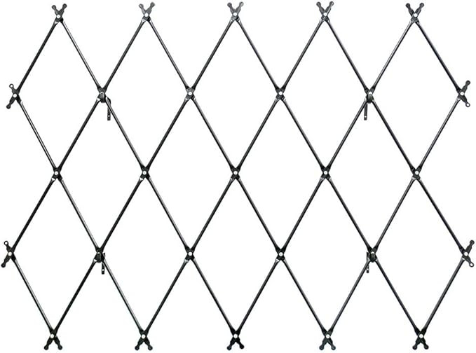 Achla Designs FT-32G Mounted Lattice Wrought Iron Garden Wall Trellis, Graphite | Amazon (US)