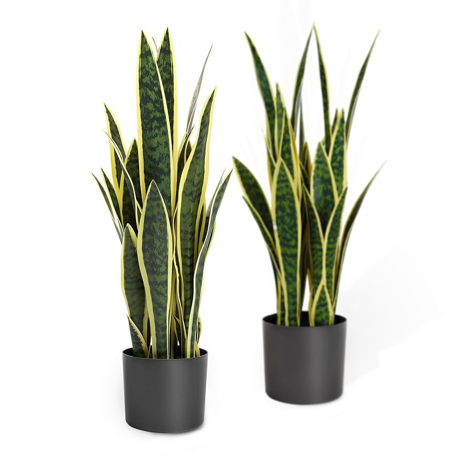 KOL 25.6’’ 2-Pack Artificial Snake Plant, Mother in Law Tongue Plants, 2ft Fake Sansevieria I... | Amazon (US)