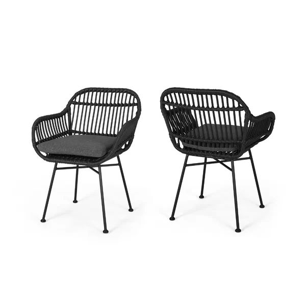 Maspeth Outdoor Woven Patio Chair with Cushion (Set of 2) | Wayfair North America