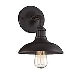 Trade Winds Lighting TW50007ORB Industrial Retro Vintage Gooseneck Barn 1-Light Transitional Outdoor | Amazon (US)