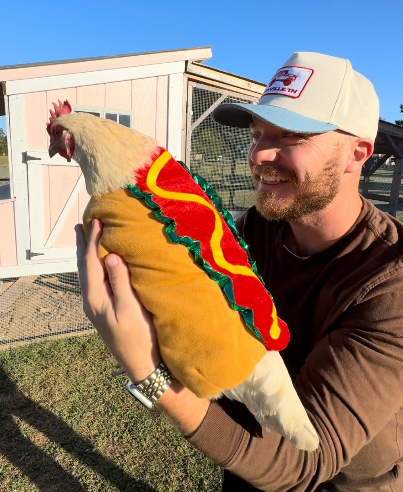 Our favorite Halloween costumes for your furry friends @petco (or in our case… our feathered friends 🐓😂) #Ad #PetcoPartner #Paidlink 