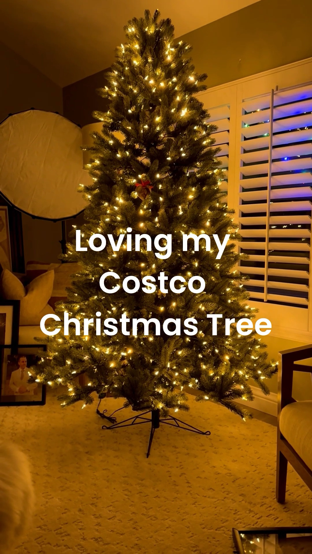 This artificial tree is the best, from Costco!

#LTKHoliday #LTKSeasonal #LTKHome