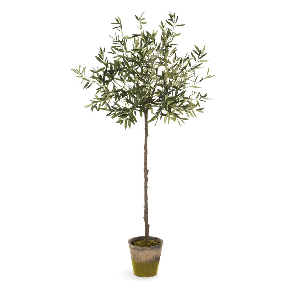 Elijah 69'' Faux Olive Tree Tree in Ceramic Pot | Wayfair North America