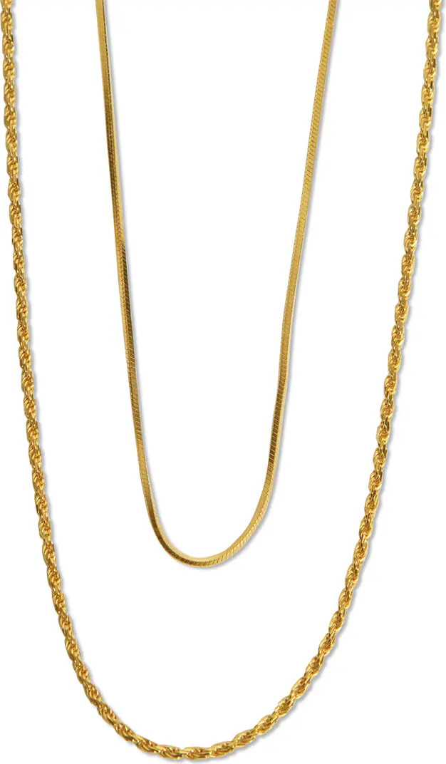 Argento Vivo Sterling Silver Rope & Serpentine Chain Layered Necklace | Nordstrom | Nordstrom