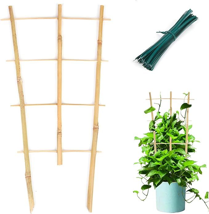 Cambaverd 3 Pack Min Bamboo Trellis 16 in Fan -Shaped Plant Support Trellis with Twist Ties for I... | Amazon (US)