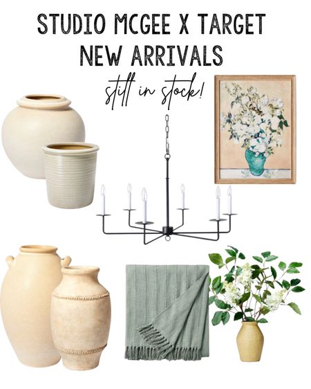 Studio Mcgee x Target new arrivals still in stock! I love these vases and can’t believe some of them are still available! 

#LTKSeasonal #LTKunder50 #LTKhome