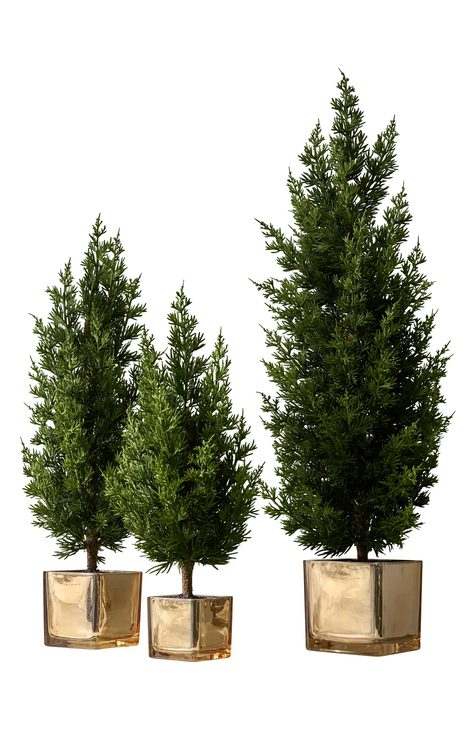 Balsam Hill Evergreen Set of 3 Tabletop Trees | Nordstrom | Nordstrom