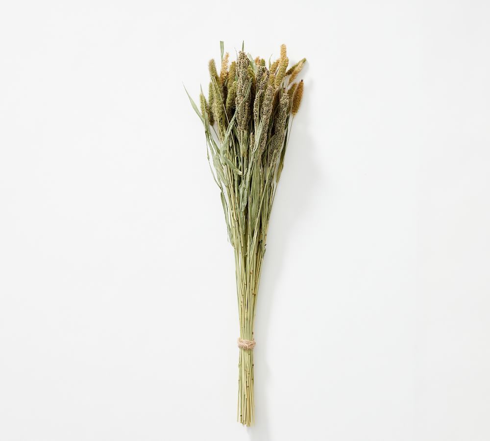 Dried Millet and Wild Grass Bundle | Pottery Barn (US)
